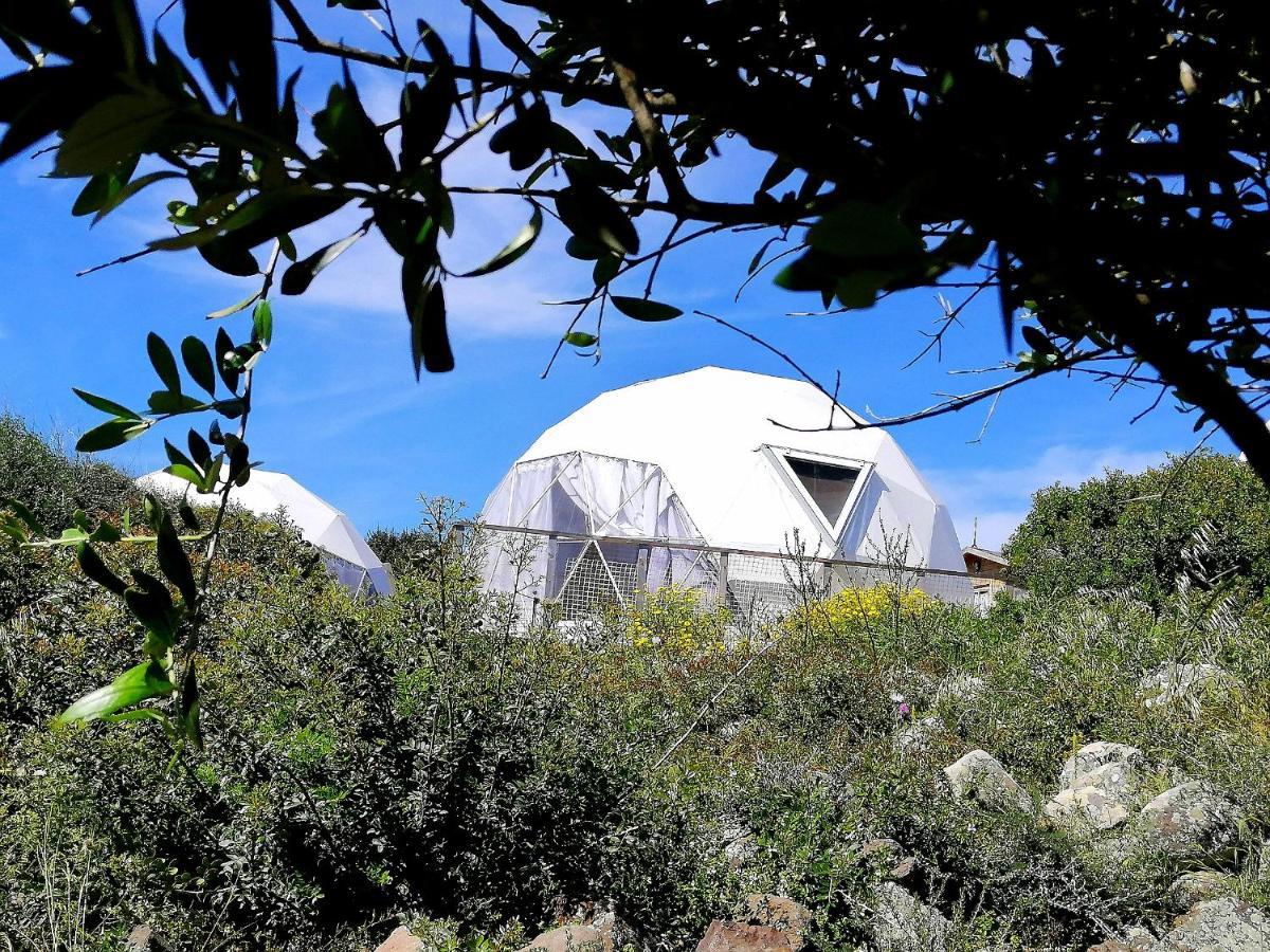 B&B Glamping Semaforo Capo Sperone SantʼAntìoco 外观 照片