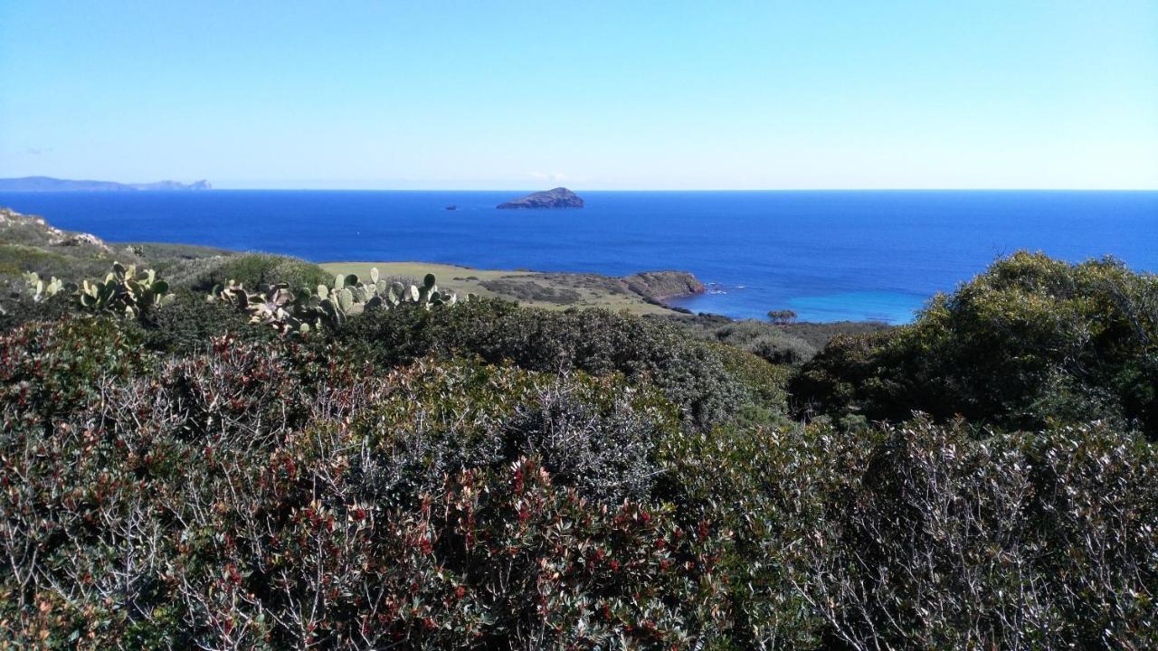 B&B Glamping Semaforo Capo Sperone SantʼAntìoco 外观 照片