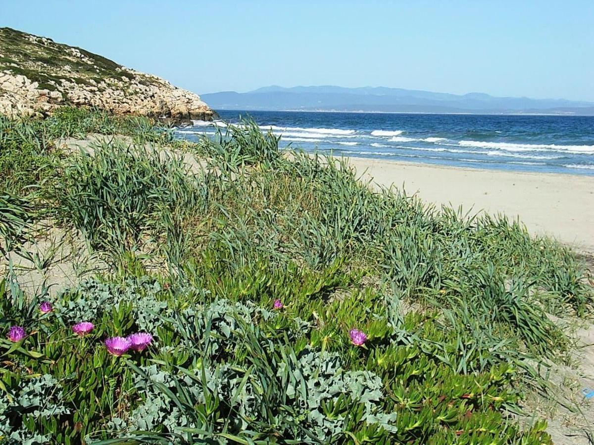 B&B Glamping Semaforo Capo Sperone SantʼAntìoco 外观 照片