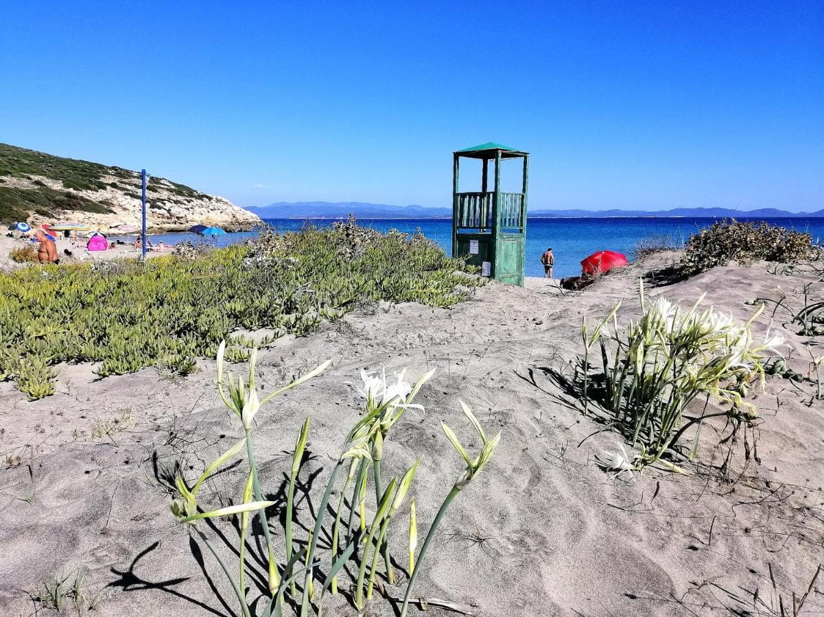 B&B Glamping Semaforo Capo Sperone SantʼAntìoco 外观 照片