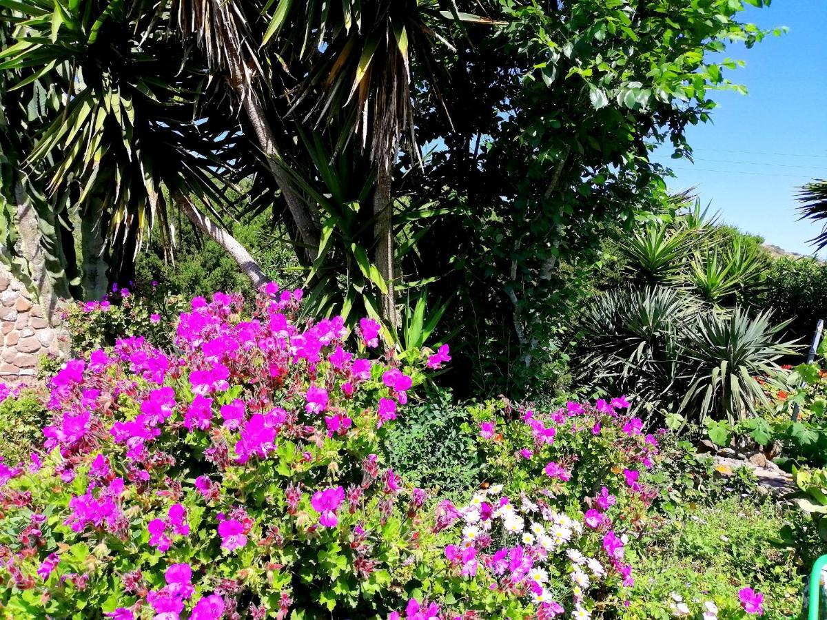 B&B Glamping Semaforo Capo Sperone SantʼAntìoco 外观 照片