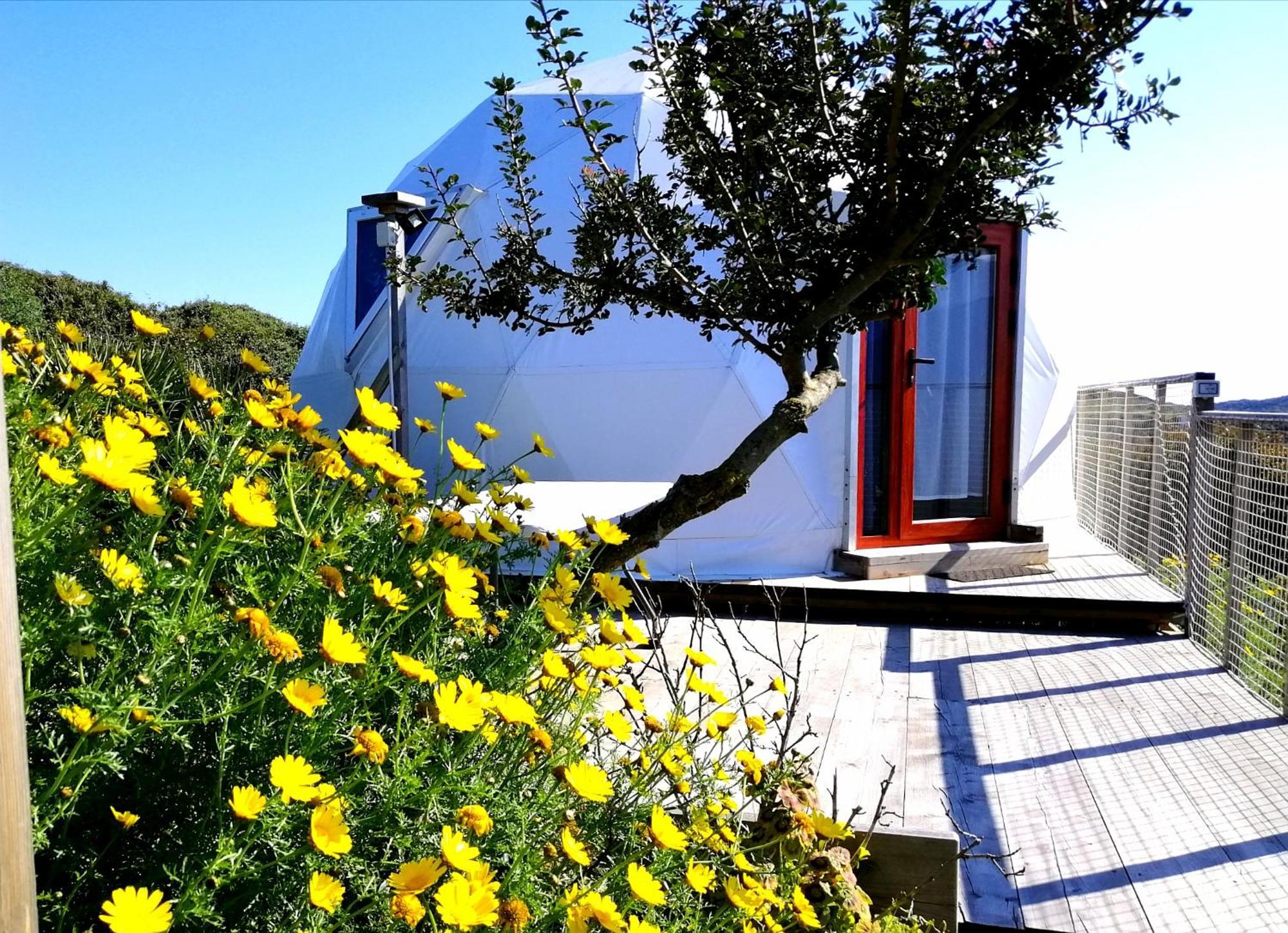 B&B Glamping Semaforo Capo Sperone SantʼAntìoco 客房 照片